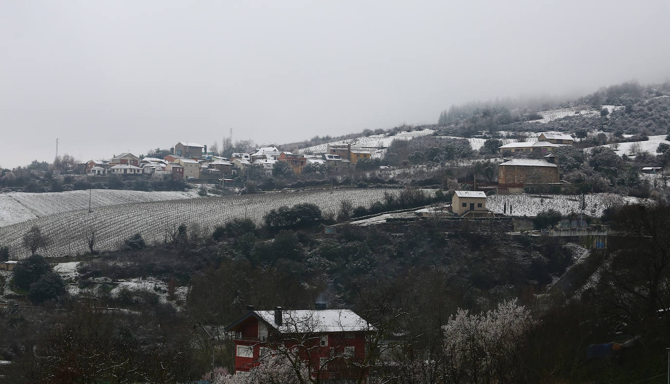 El temporal ha permitido que la capital berciana se tiñera de blanco en la mañana de este sábado